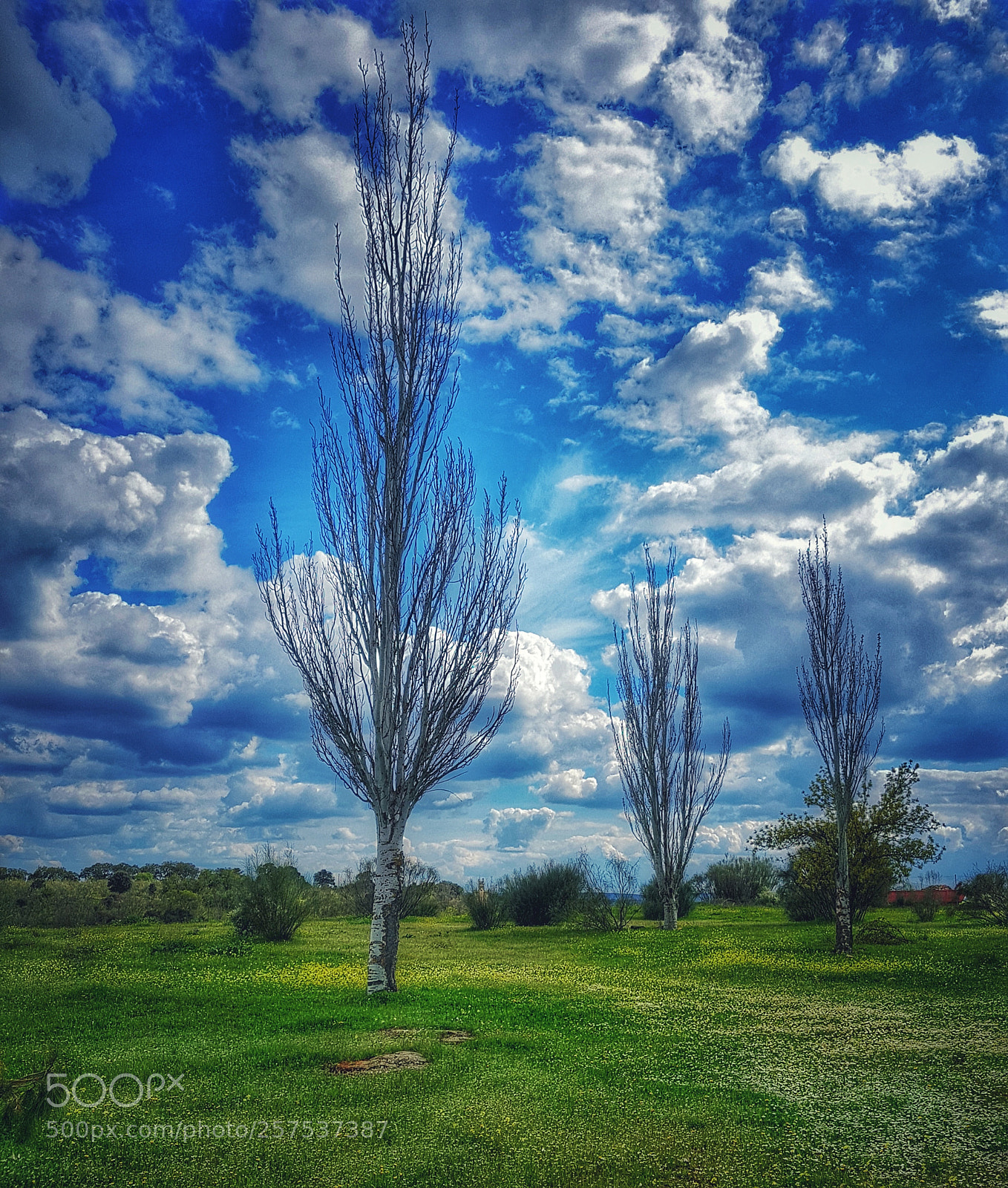 Samsung Galaxy S7 Edge sample photo. Torrejón el rubio photography