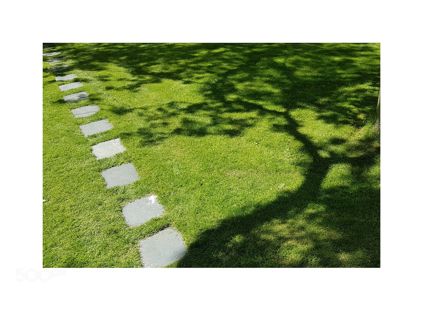 Samsung Galaxy S7 sample photo. The path photography