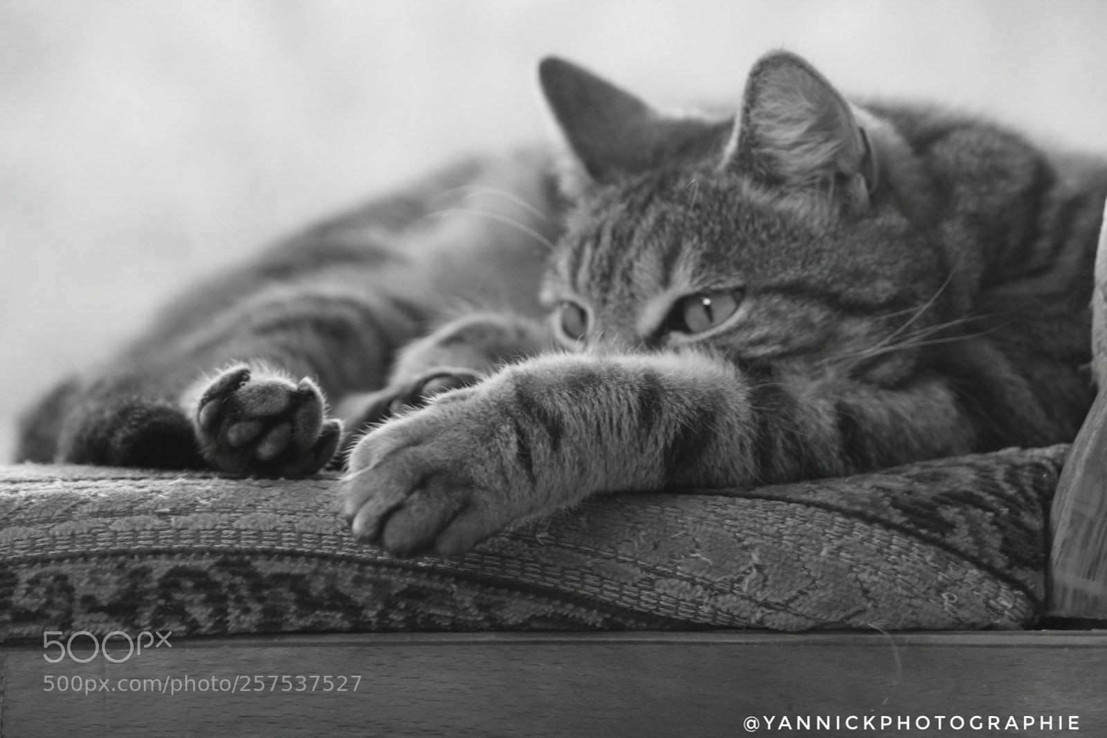 Nikon D5600 sample photo. Untitled photography