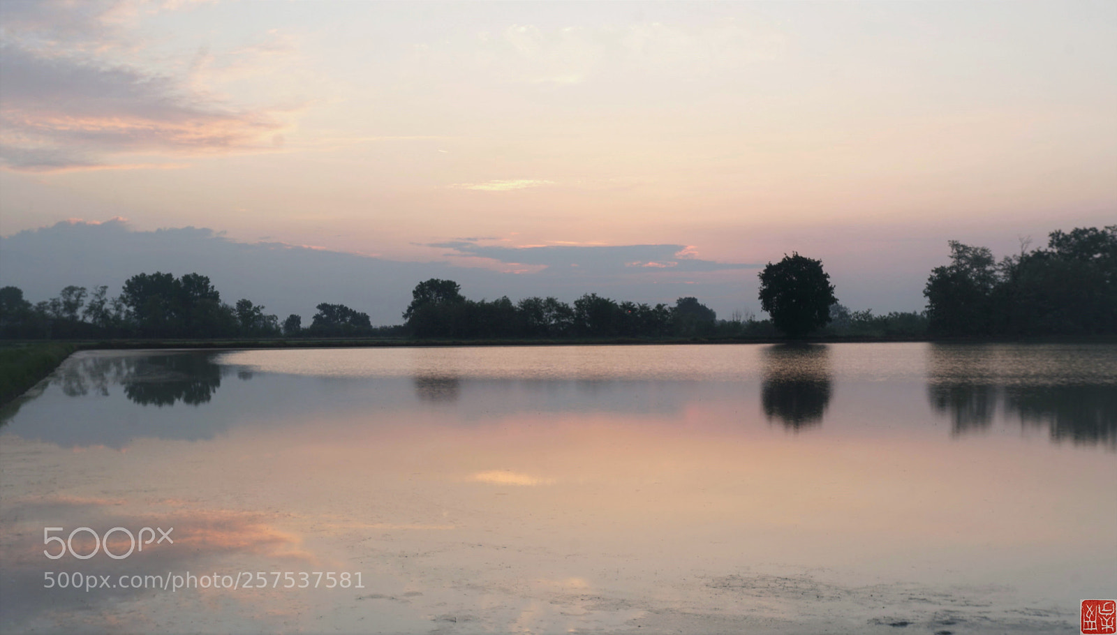 Sony a6500 sample photo. Sunrise on rice field photography