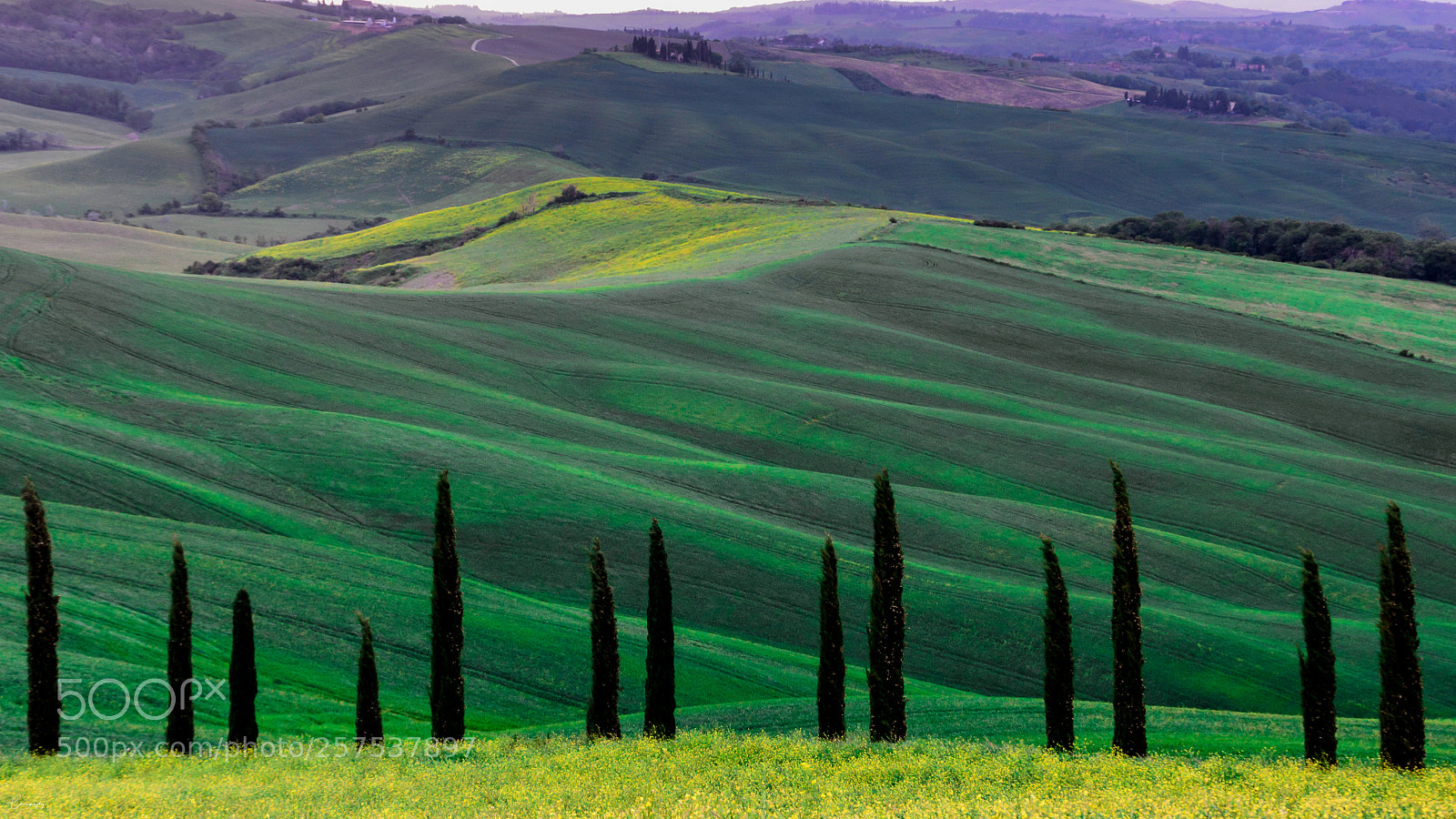 Nikon D7100 sample photo. Tuscany photography