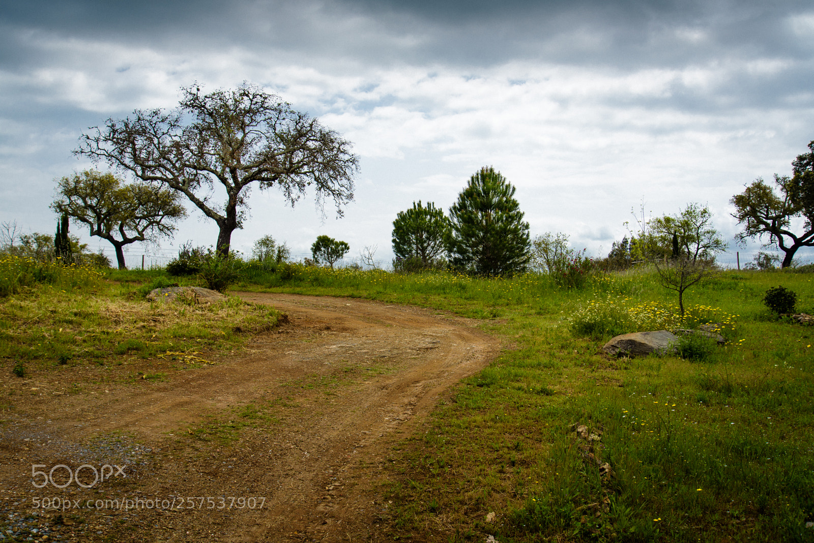 Nikon D750 sample photo. Dirt track photography