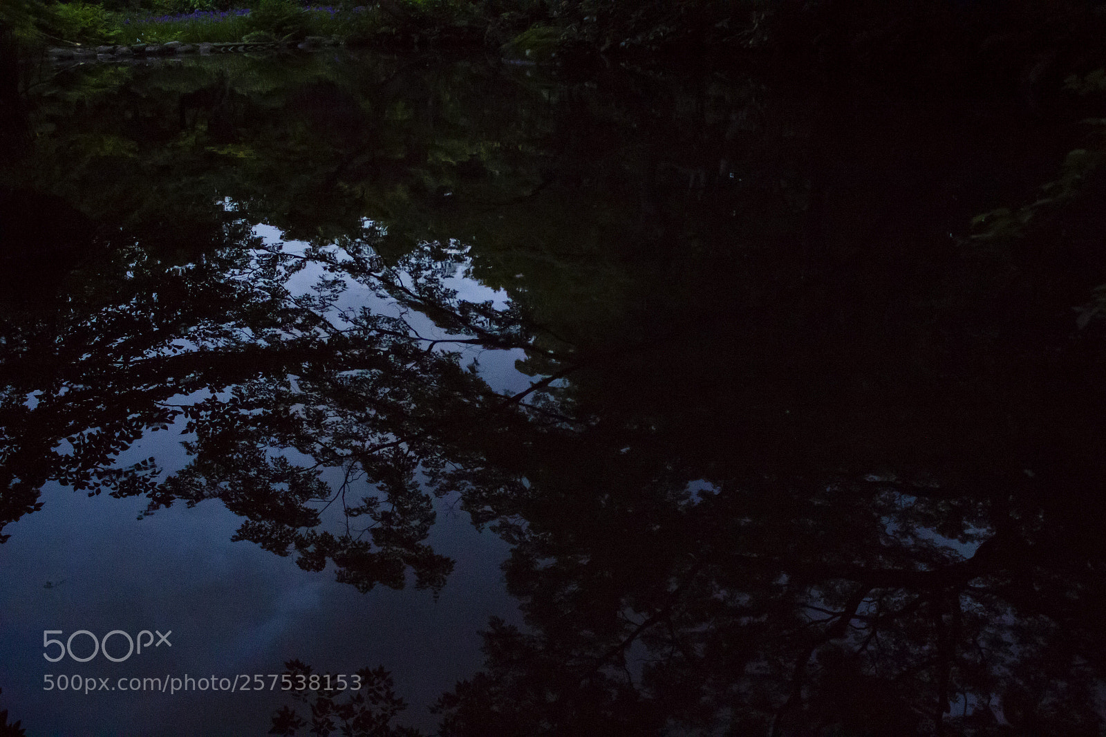 Canon EOS 60D sample photo. 翳 photography