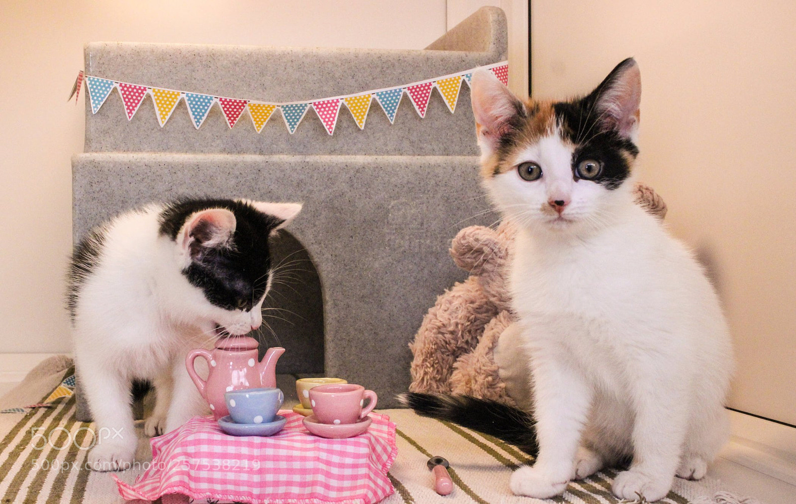 Canon EOS 600D (Rebel EOS T3i / EOS Kiss X5) sample photo. Kitty party and more photography