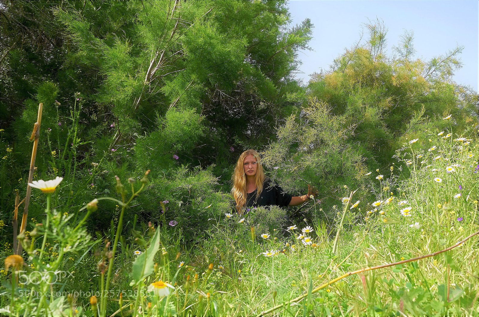 Sony a7 II sample photo. Nature portrait photography