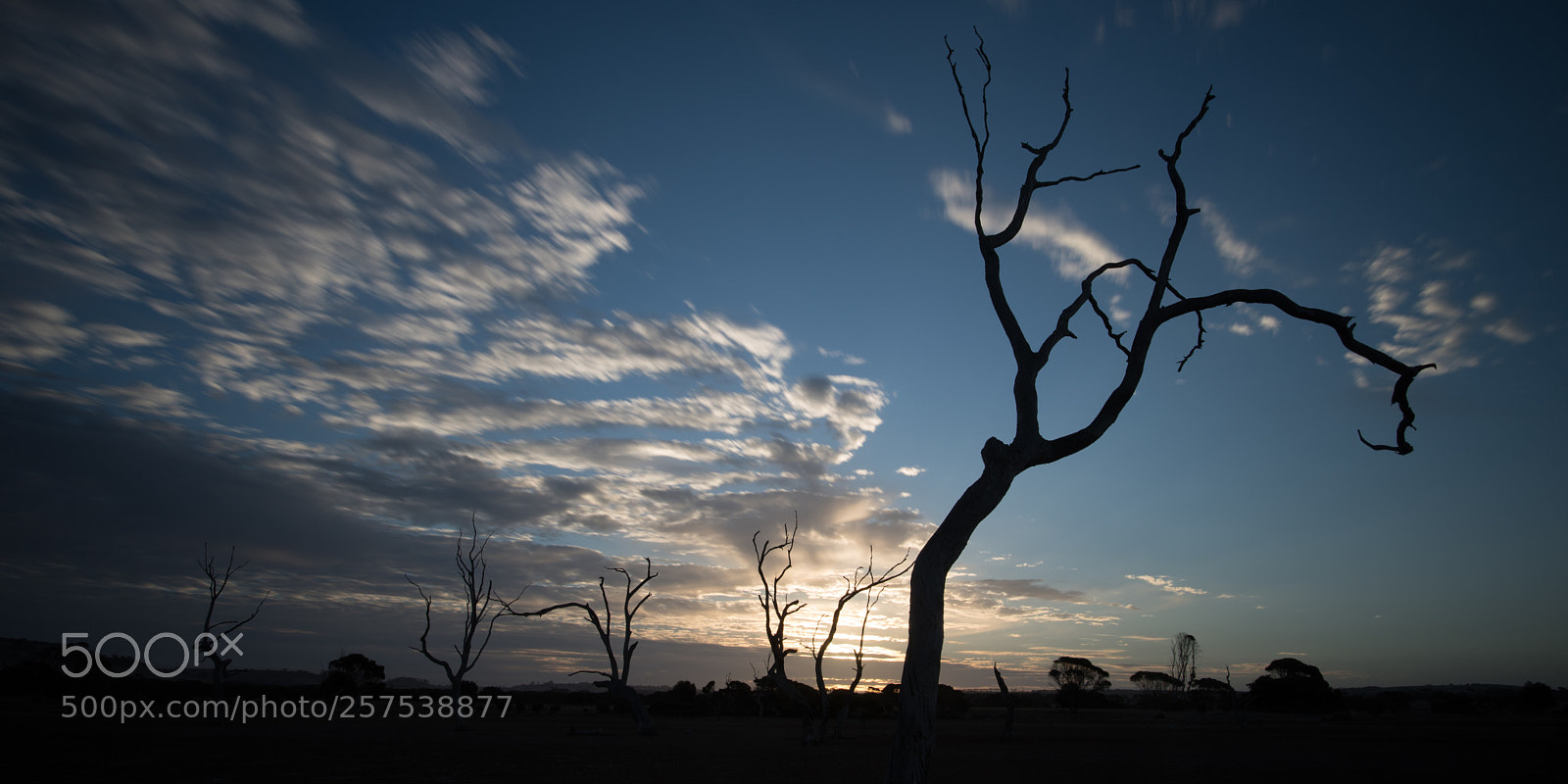 Nikon D750 sample photo. Sunset photography