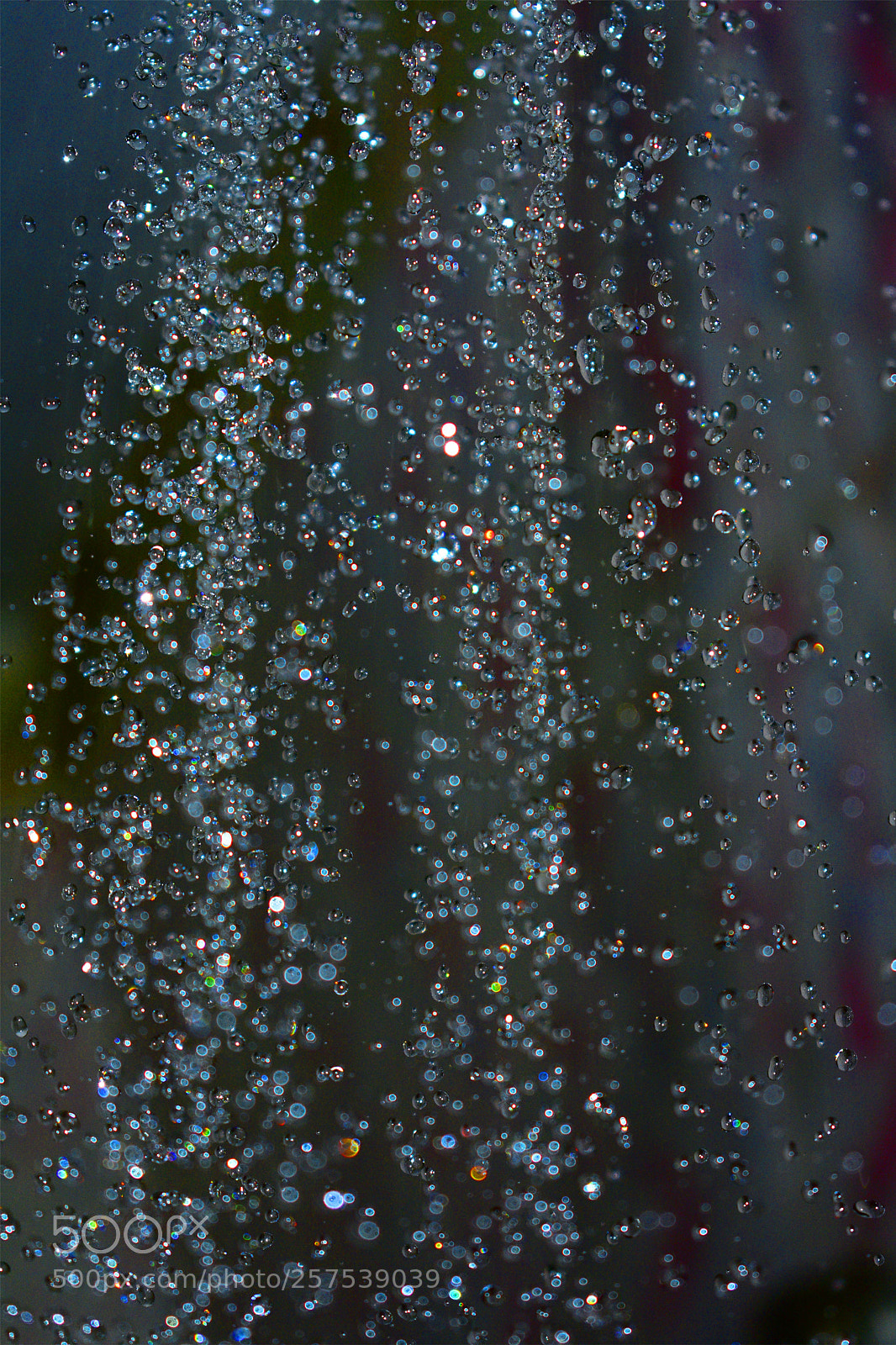 Nikon D3400 sample photo. Drops photography