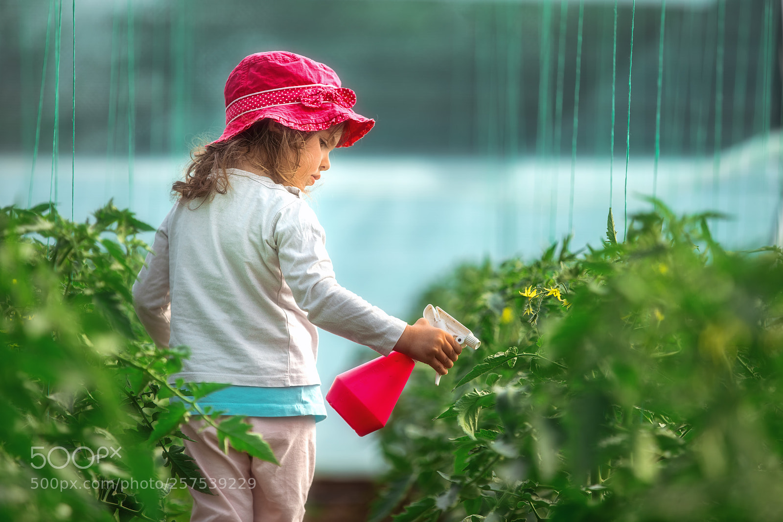 Sony a7R II sample photo. Happy little girl gardener photography