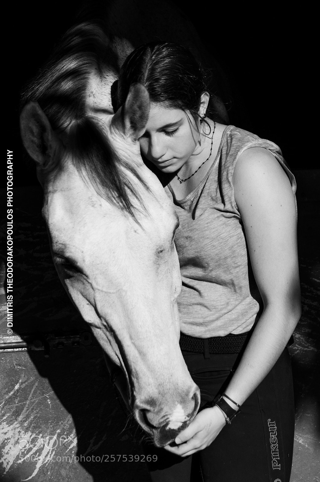 Nikon D5000 sample photo. The hourse and the photography