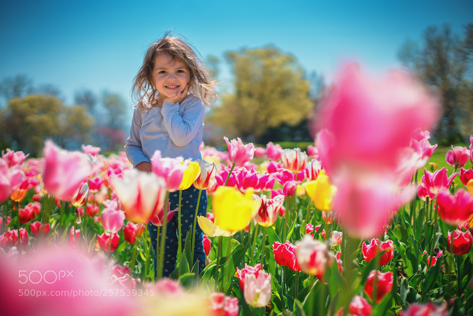 Sony a7R II sample photo. Little beautiful girl in photography