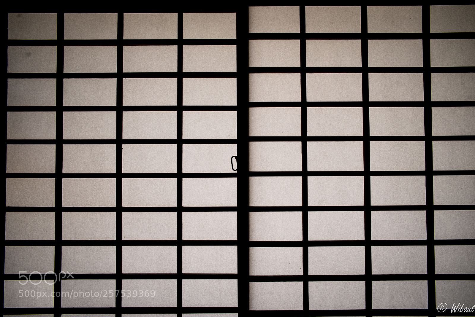 Leica M (Typ 240) sample photo. Shoji photography