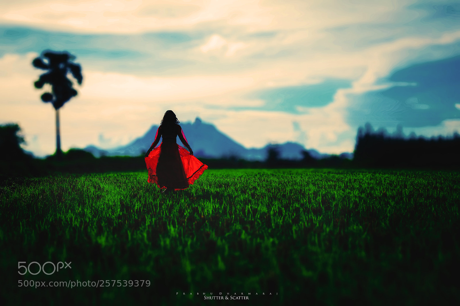 Canon EOS 5D Mark IV sample photo. Cinderella story photography