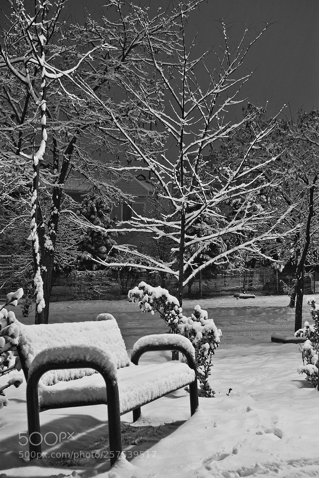Sony Alpha DSLR-A200 sample photo. Solitude photography
