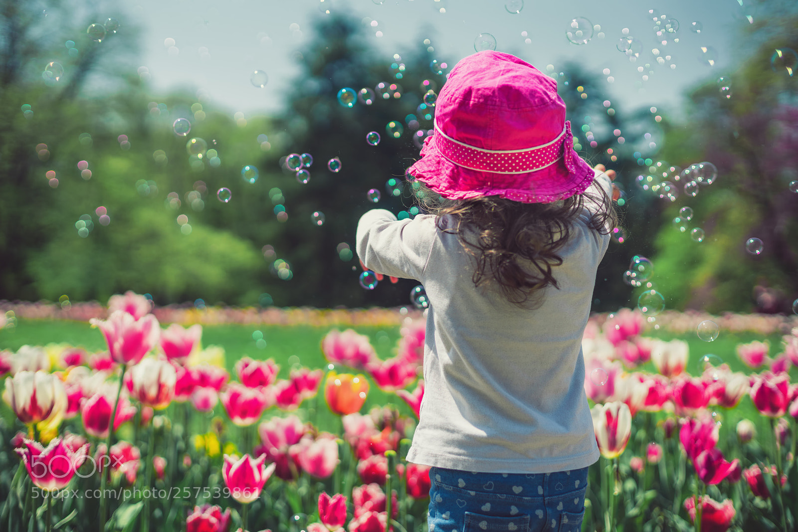 Sony a7R II sample photo. A little girl blowing photography