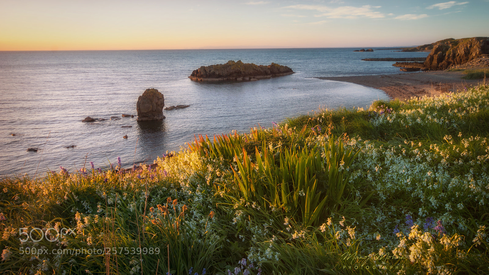 Sony ILCA-77M2 sample photo. At dunure coast photography