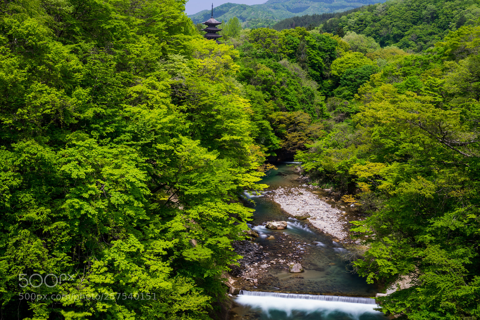 Sony a7 II sample photo. Temple tower in green photography