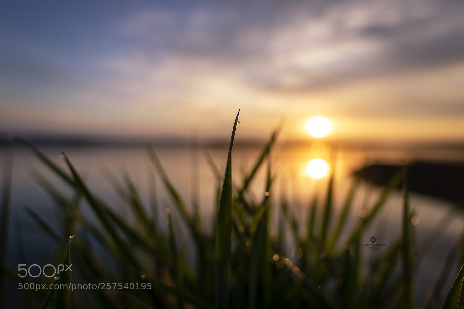 Canon EOS 7D Mark II sample photo. Waterdrop photography