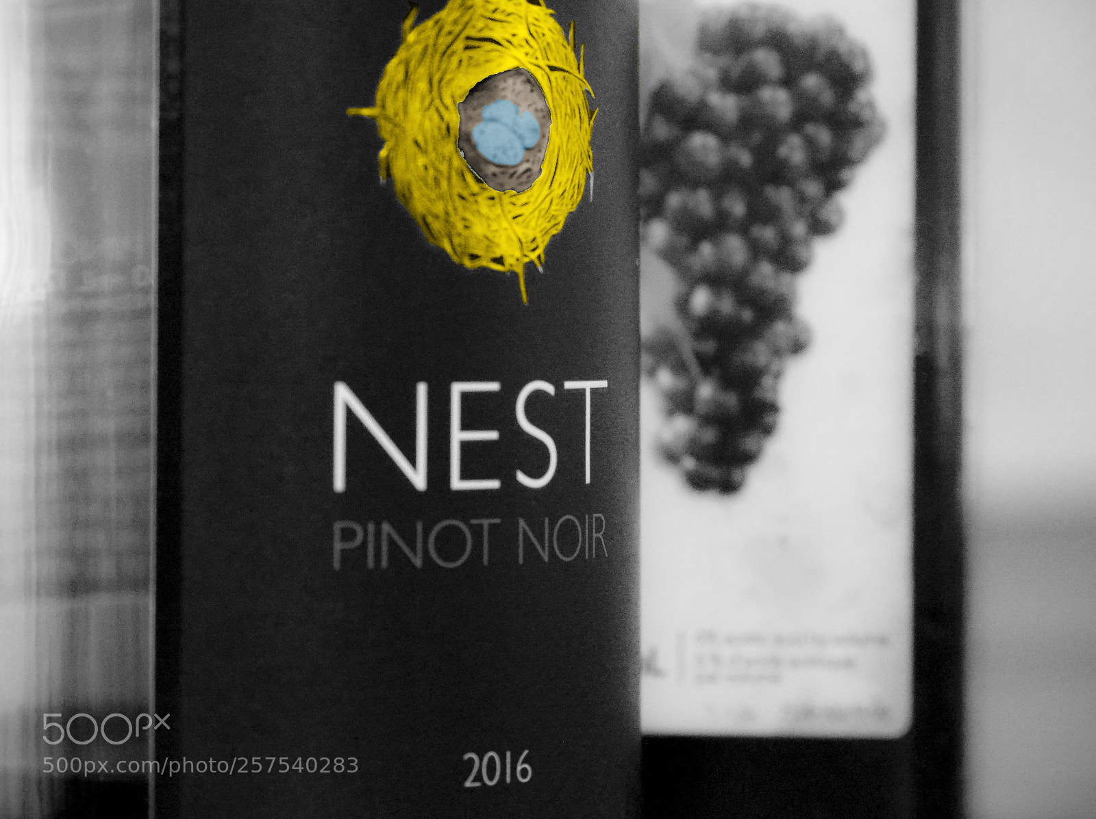 Nikon D5200 sample photo. Nest photography