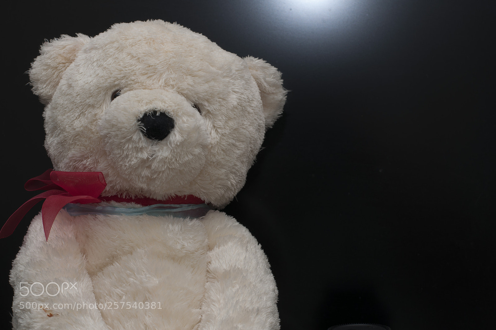 Nikon D5000 sample photo. Vgood ex fm sp photography
