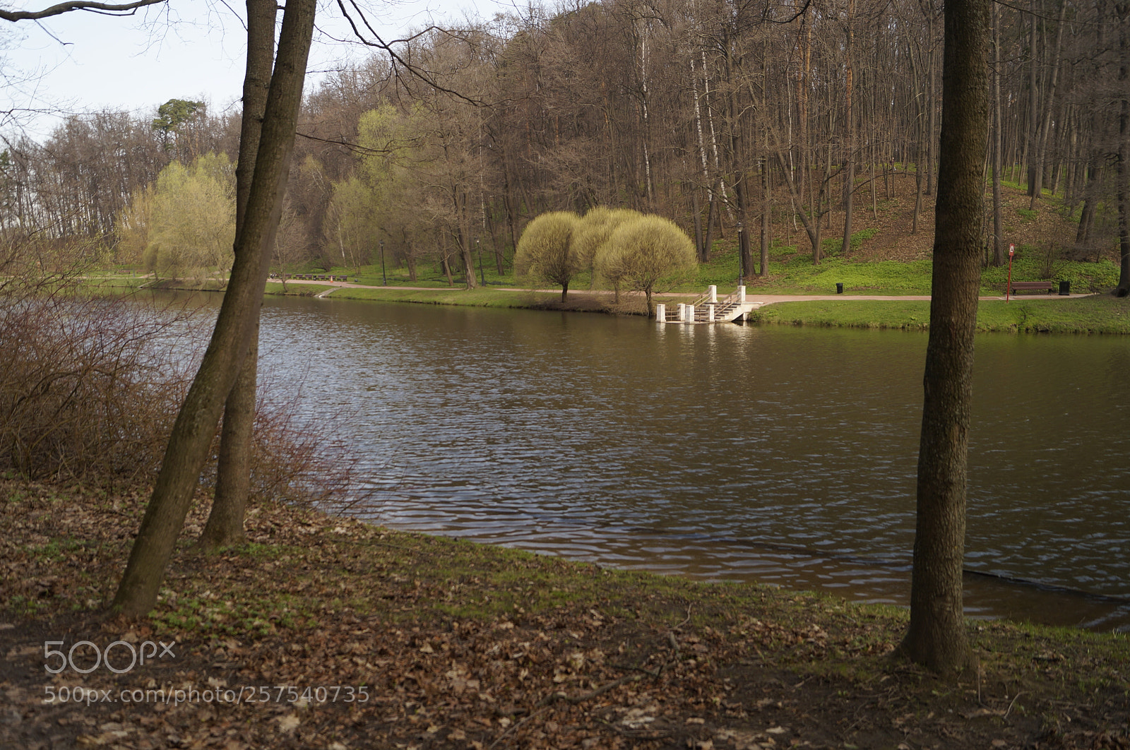 Sony SLT-A57 sample photo. Untitled photography