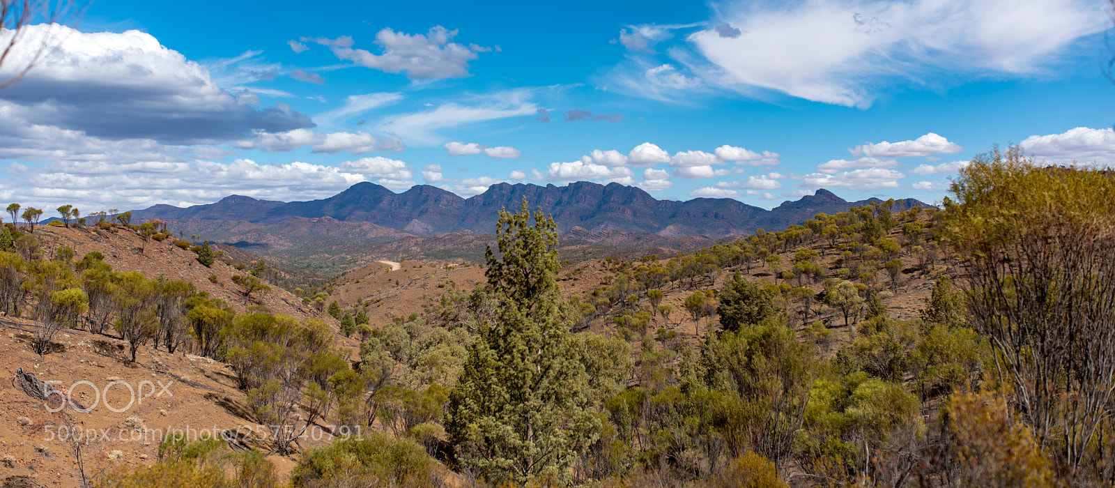 Nikon D750 sample photo. Flinders ranges photography