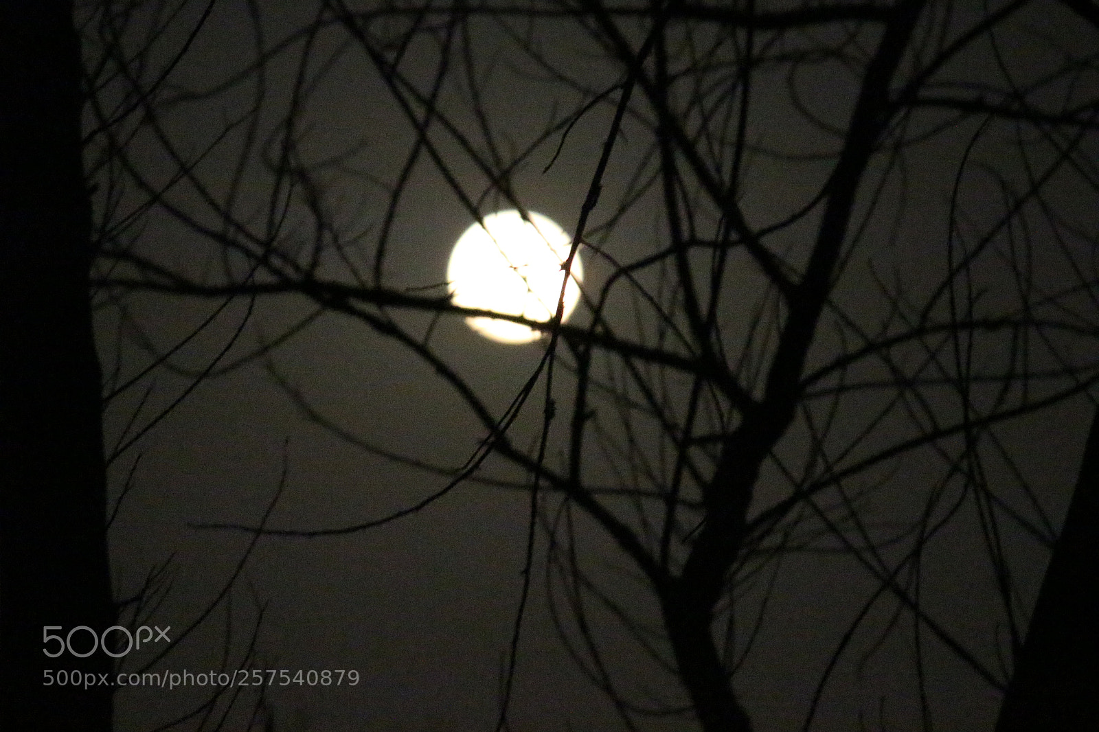 Canon EF-S 55-250mm F4-5.6 IS II sample photo. Glowing moon photography