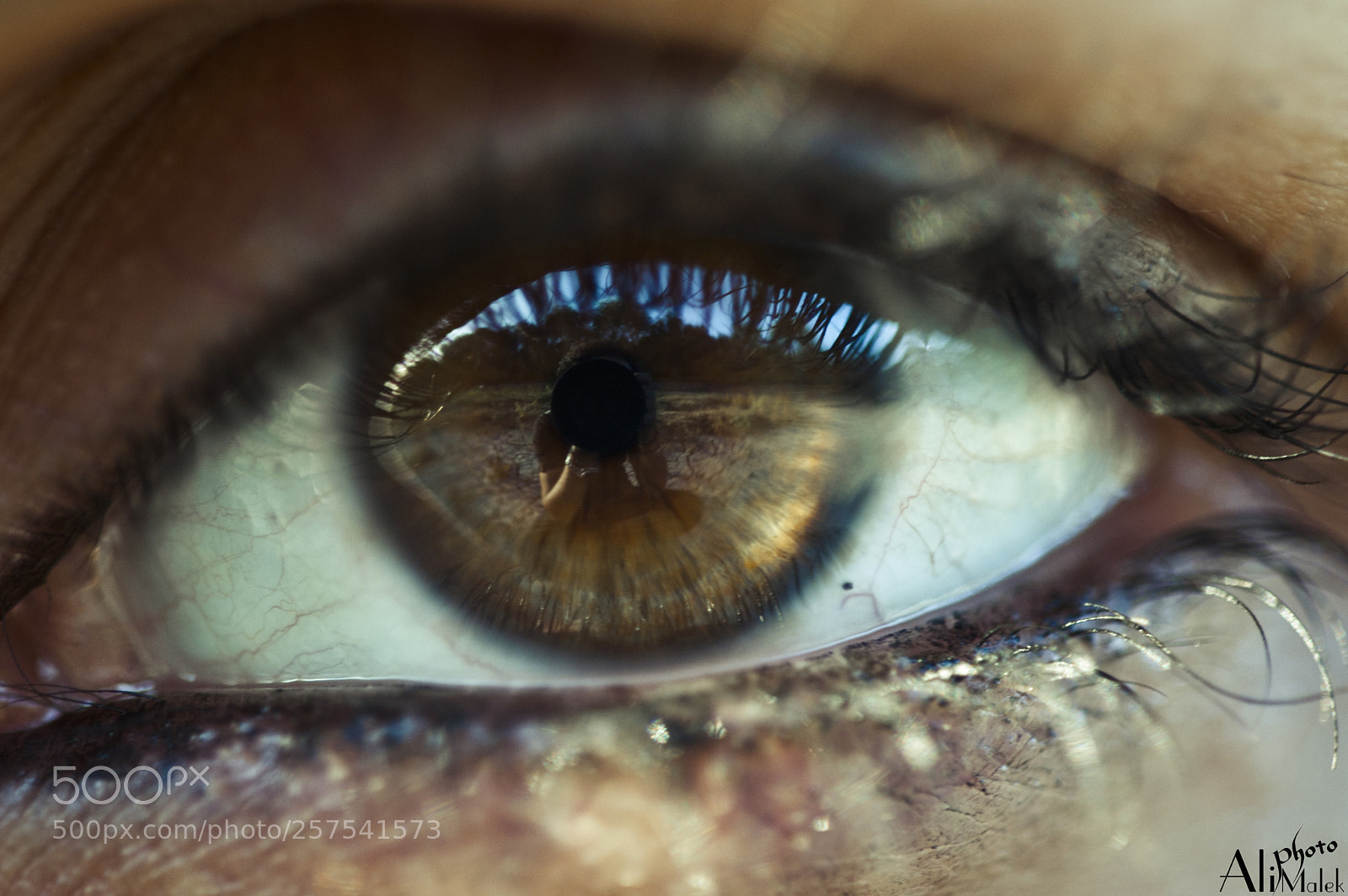 Nikon D700 sample photo. Me photography