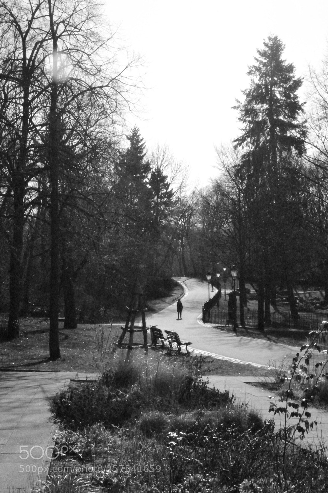 Nikon D3100 sample photo. Ways photography
