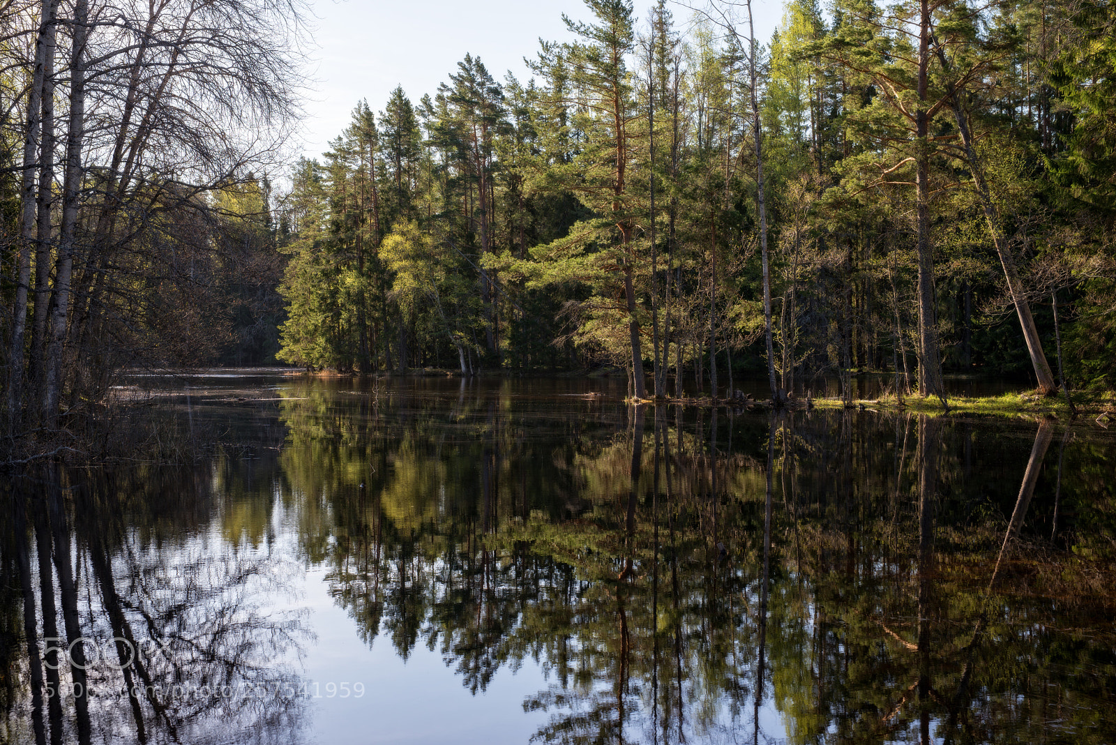 Nikon D610 sample photo. Reflection photography