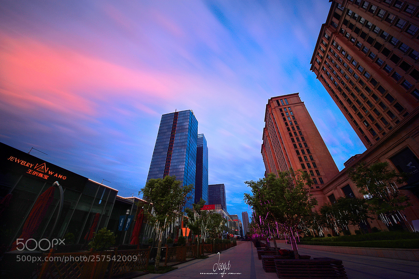 Canon EOS 5D Mark II sample photo. New city purple night photography