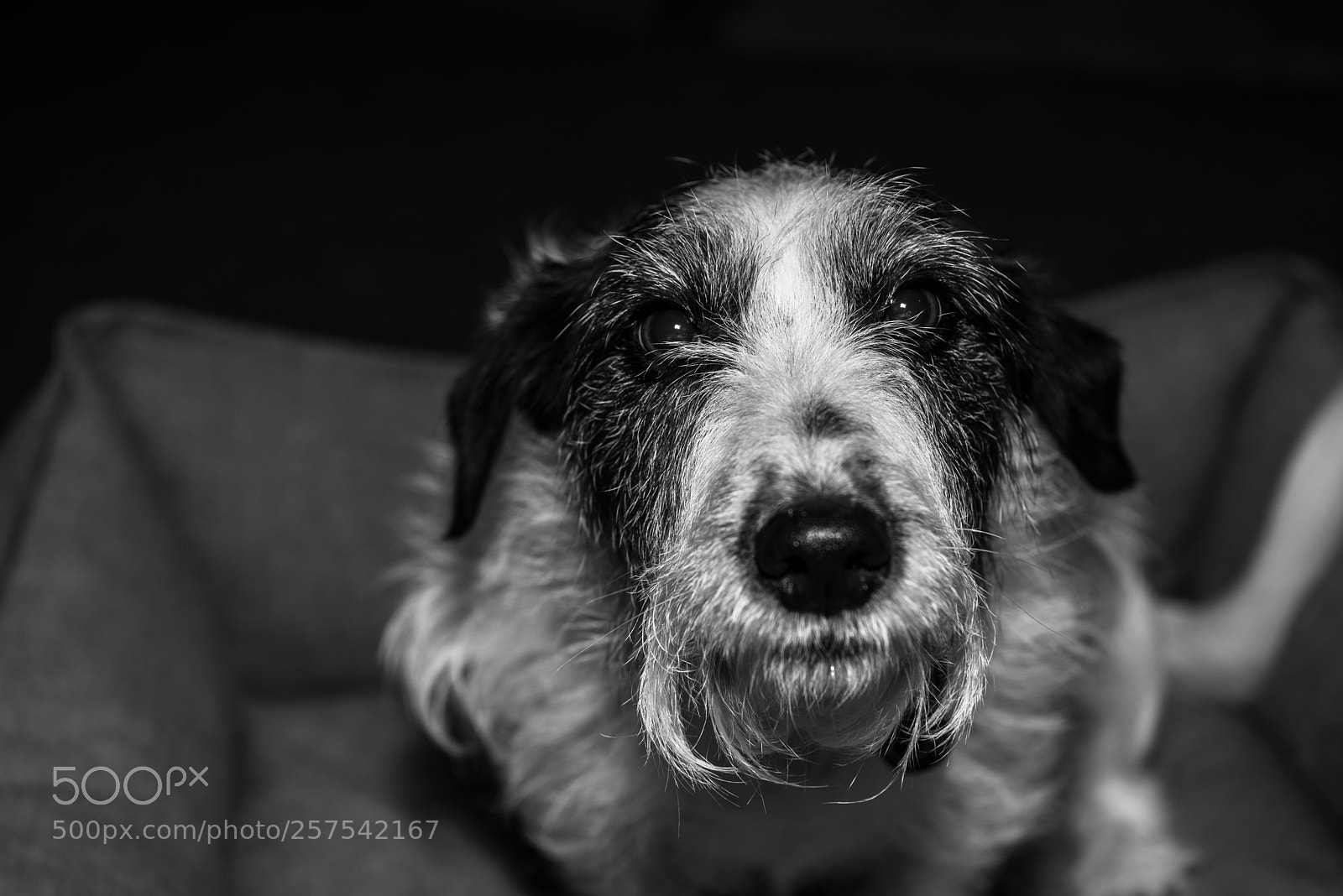 Nikon D750 sample photo. Gus photography