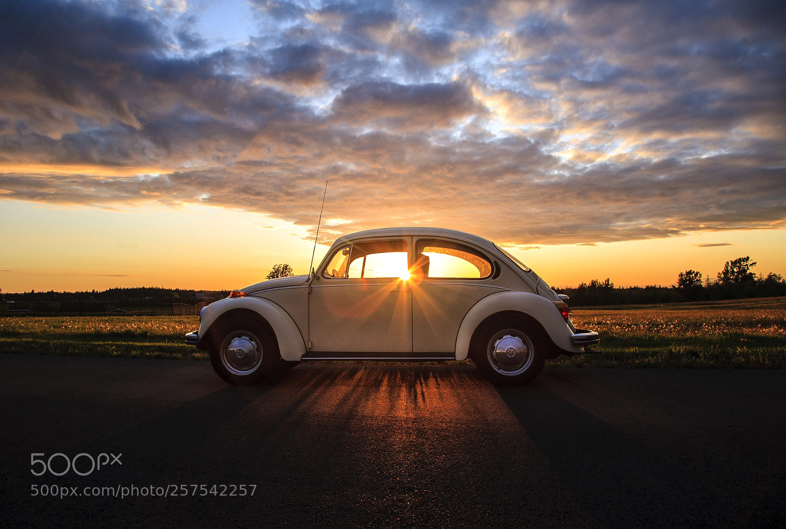 Canon EOS 5D sample photo. Sunset bug photography