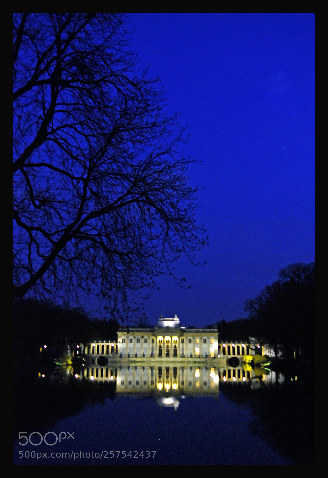Nikon D80 sample photo. Palace on the isle photography