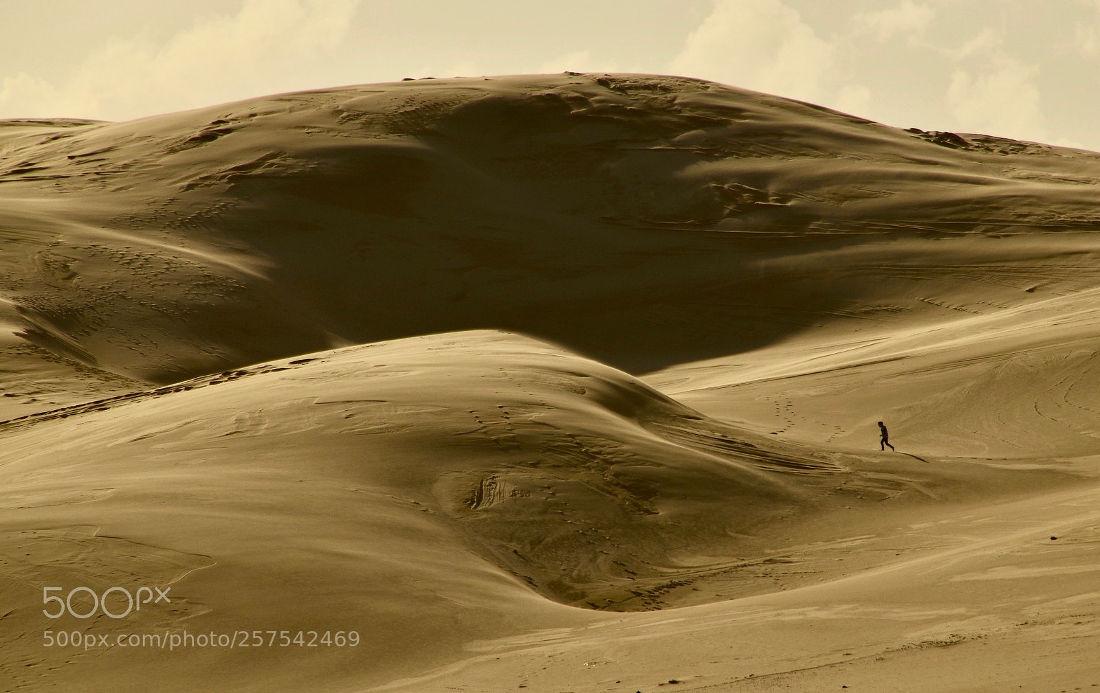 Nikon D5100 sample photo. Across the desert photography
