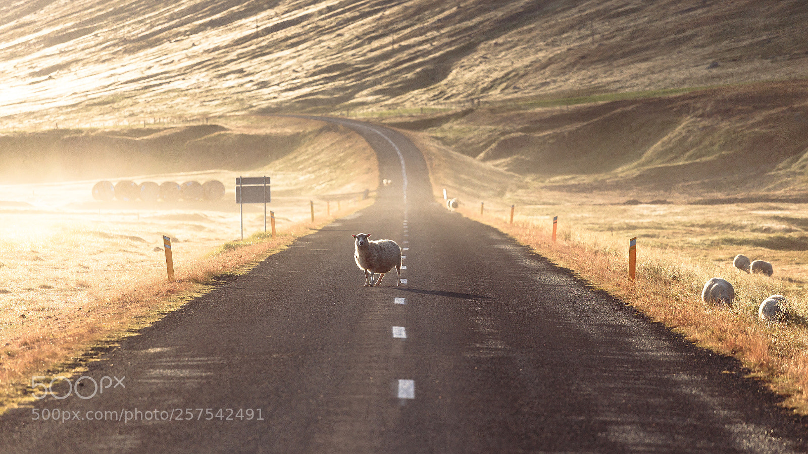 Canon EOS 6D sample photo. In icelandic scenery photography