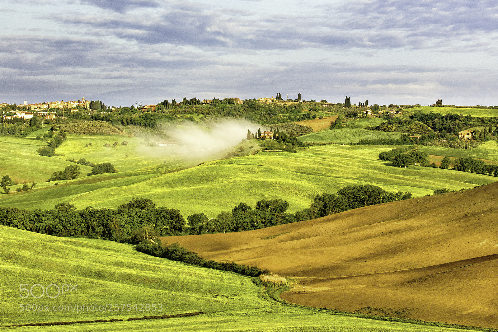 Canon EOS 5D Mark IV sample photo. Belvedere with fog at photography