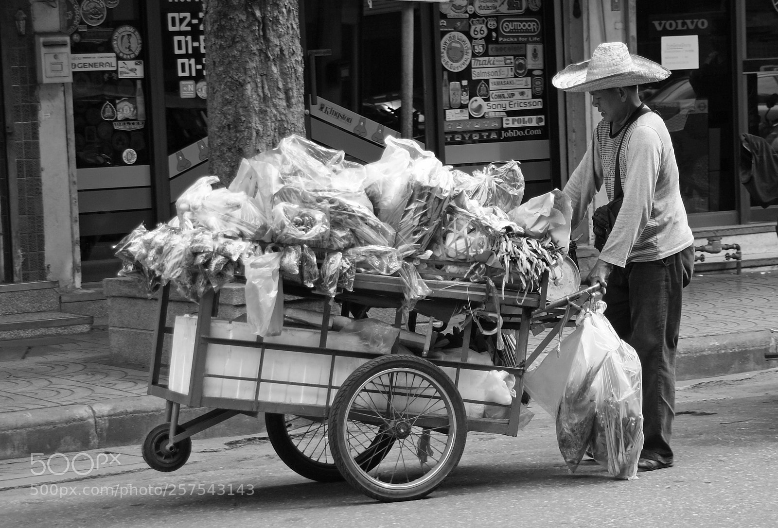 Sony Alpha DSLR-A300 sample photo. A short rest photography