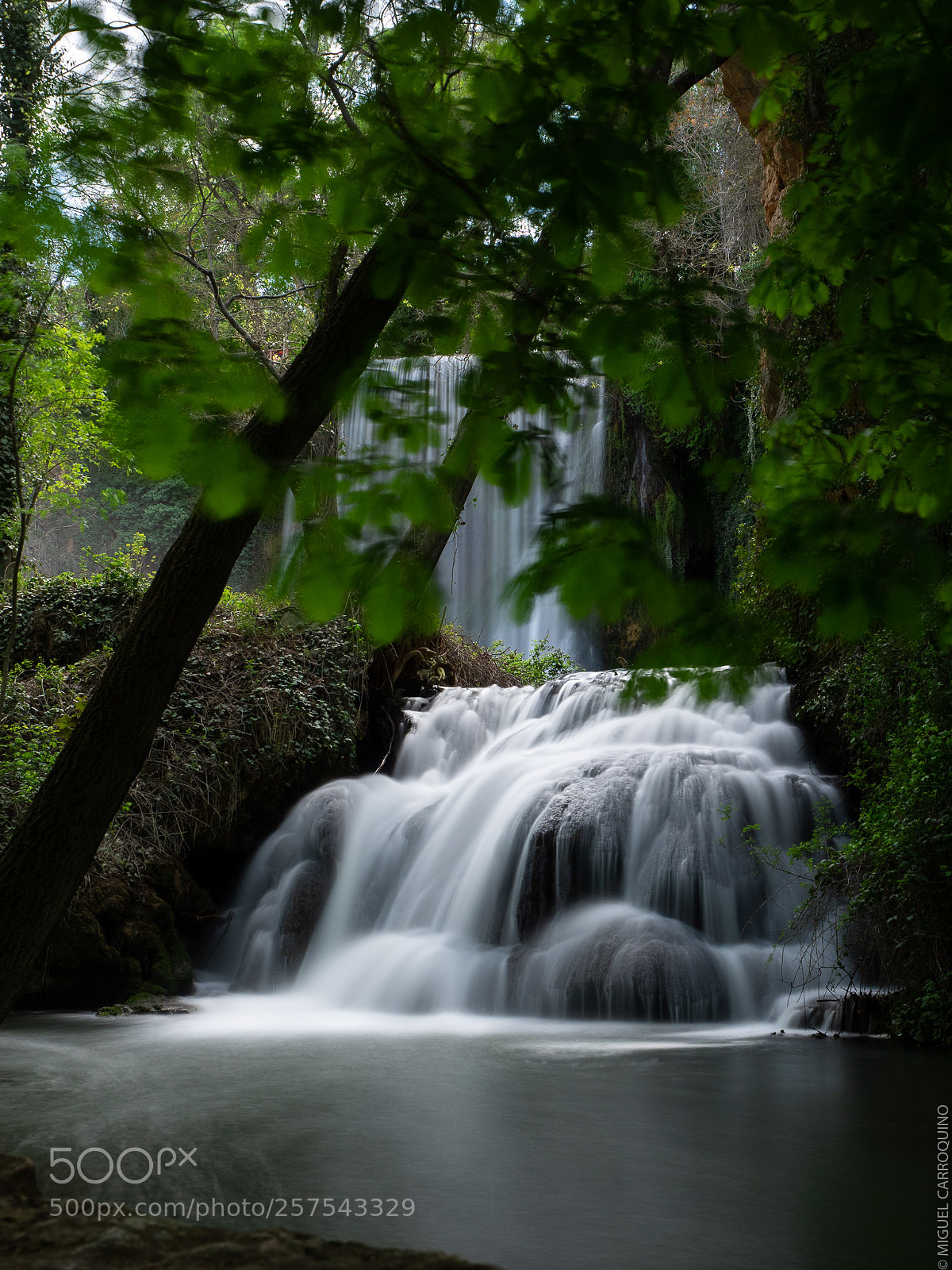 Olympus OM-D E-M1 sample photo. Dream photography