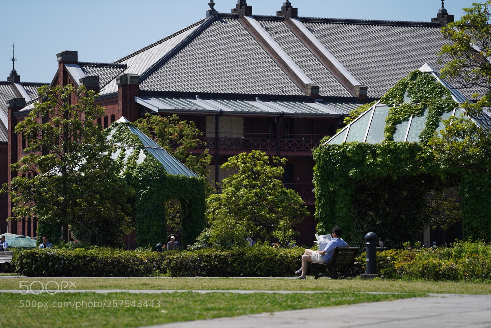 Sony a7 III sample photo. Untitled photography