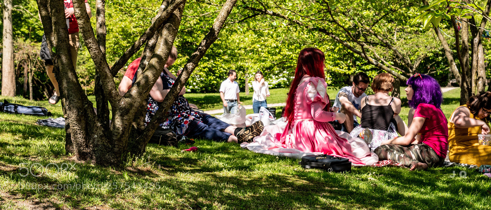 Panasonic Lumix DC-G9 sample photo. Le d jeuner sur photography