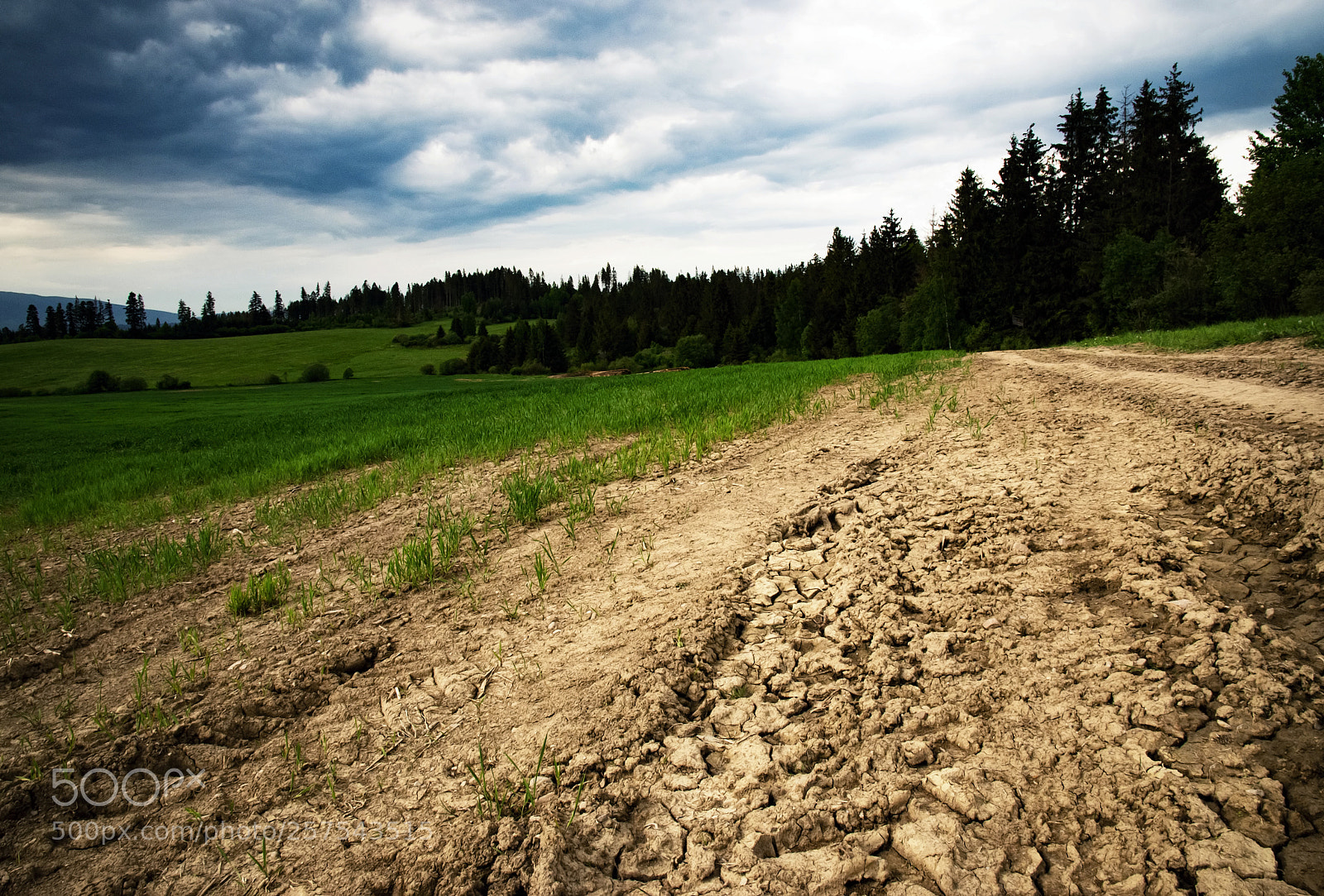 Nikon D5500 sample photo. Clay path in front photography