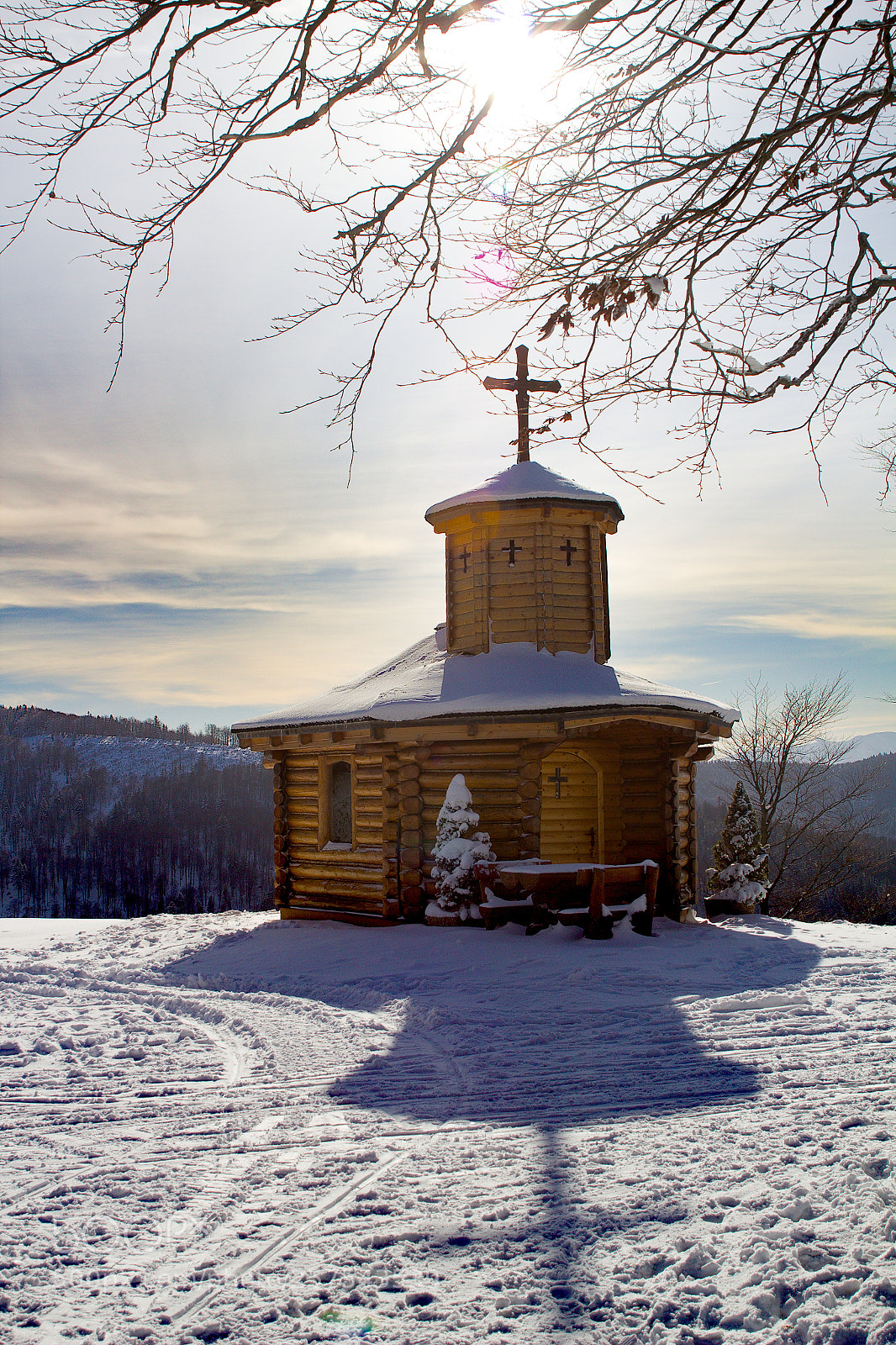 Canon EOS 1200D (EOS Rebel T5 / EOS Kiss X70 / EOS Hi) sample photo. Frosty trust photography