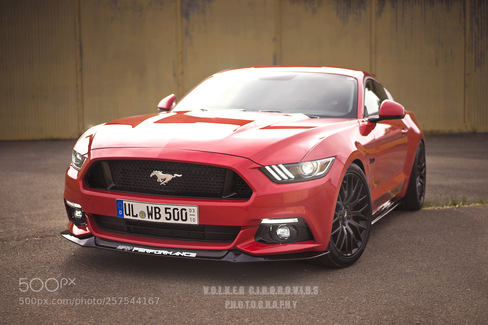 Sony a7 sample photo. Mustang photography