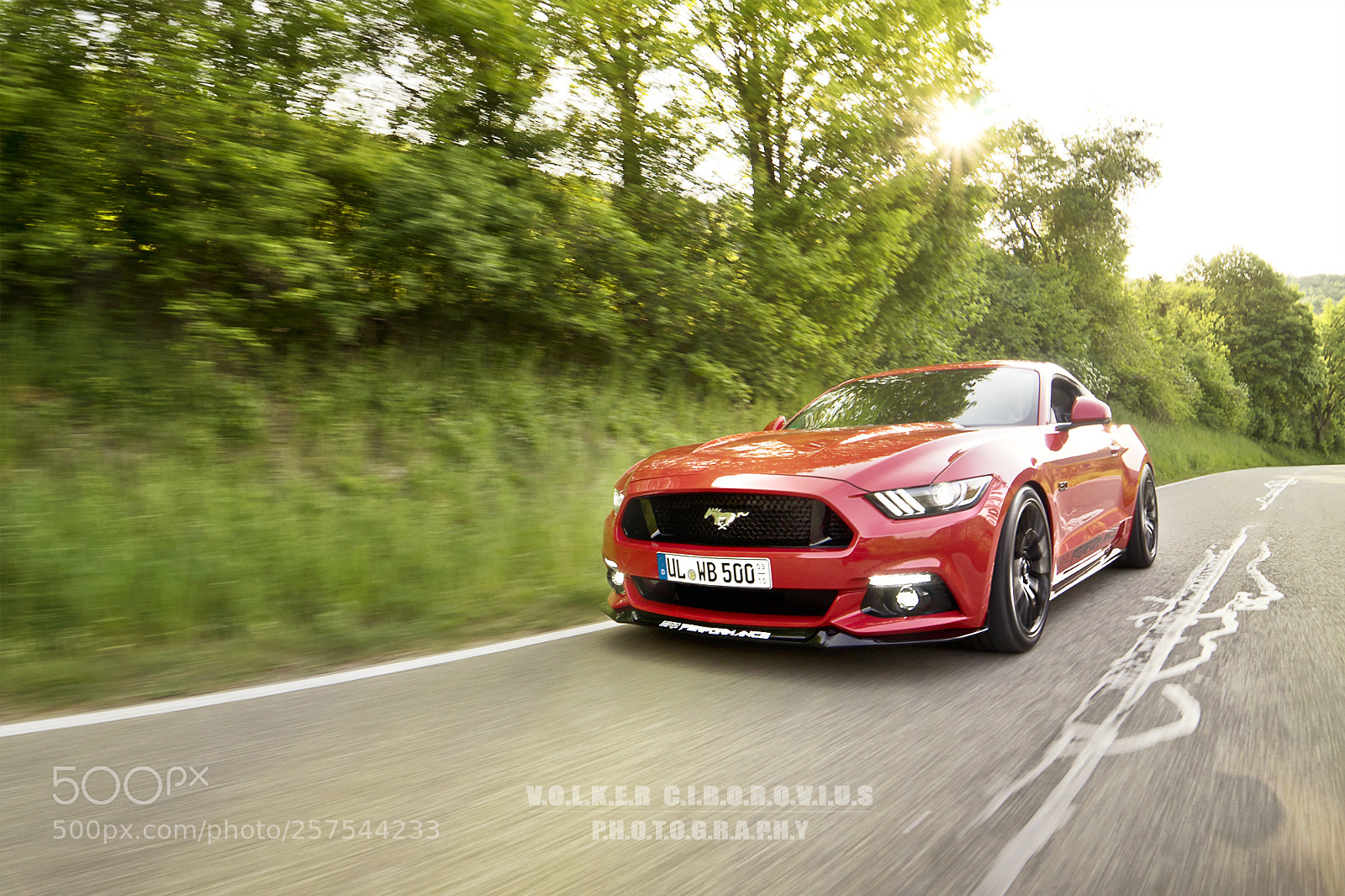 Sony a7 sample photo. Mustang photography
