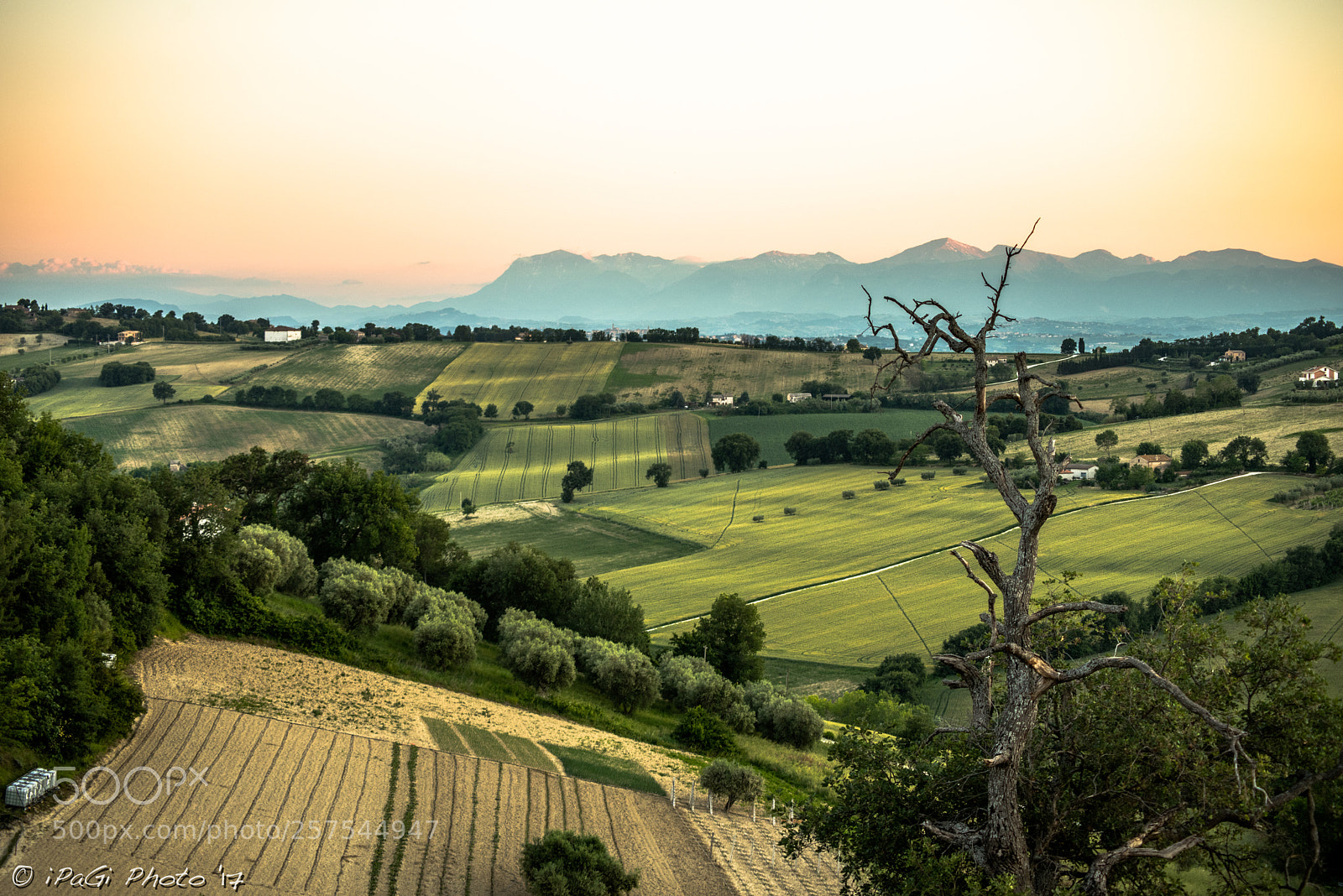 Nikon D750 sample photo. Campagna di montelupone photography