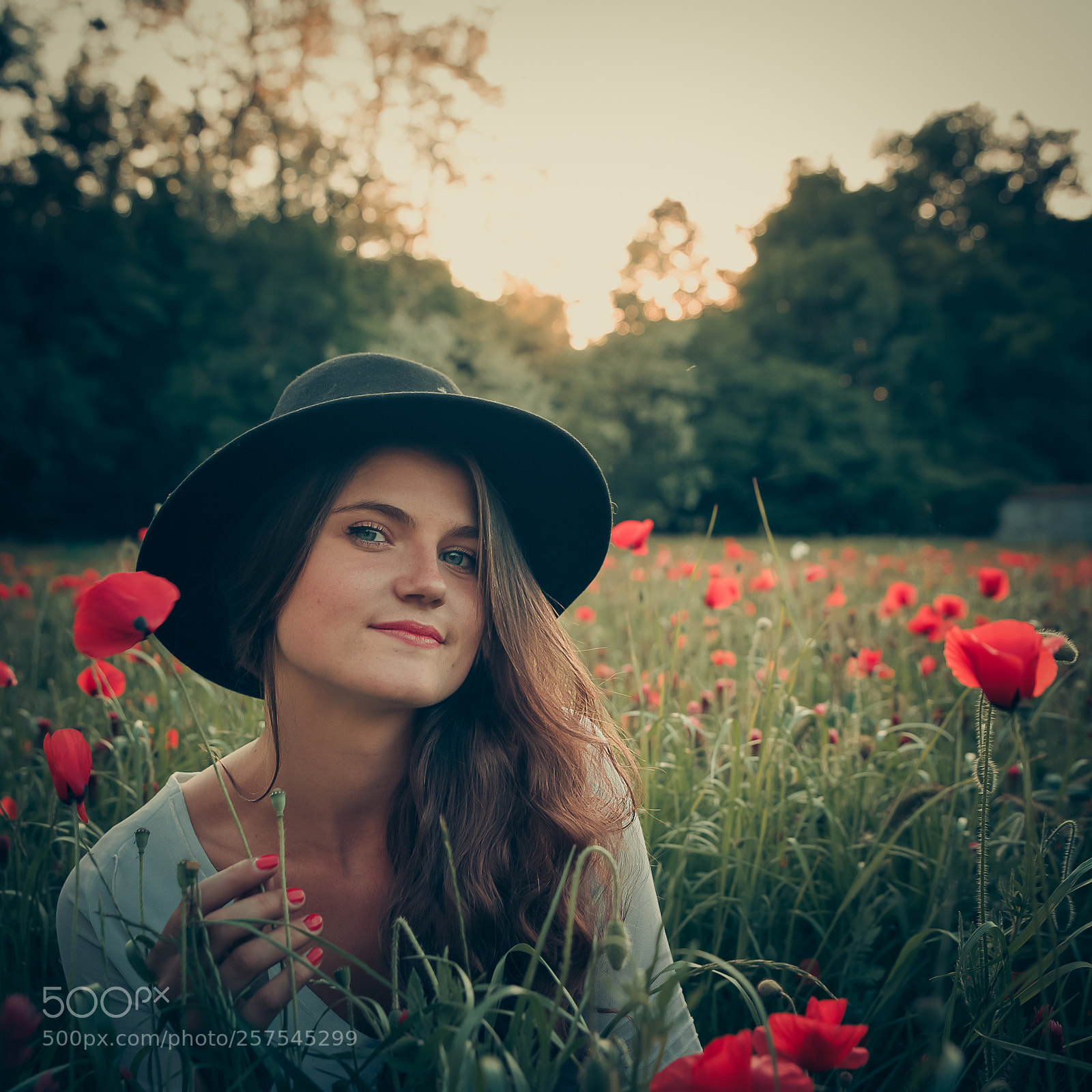 Canon EOS 6D sample photo. Coquelicots 2 photography