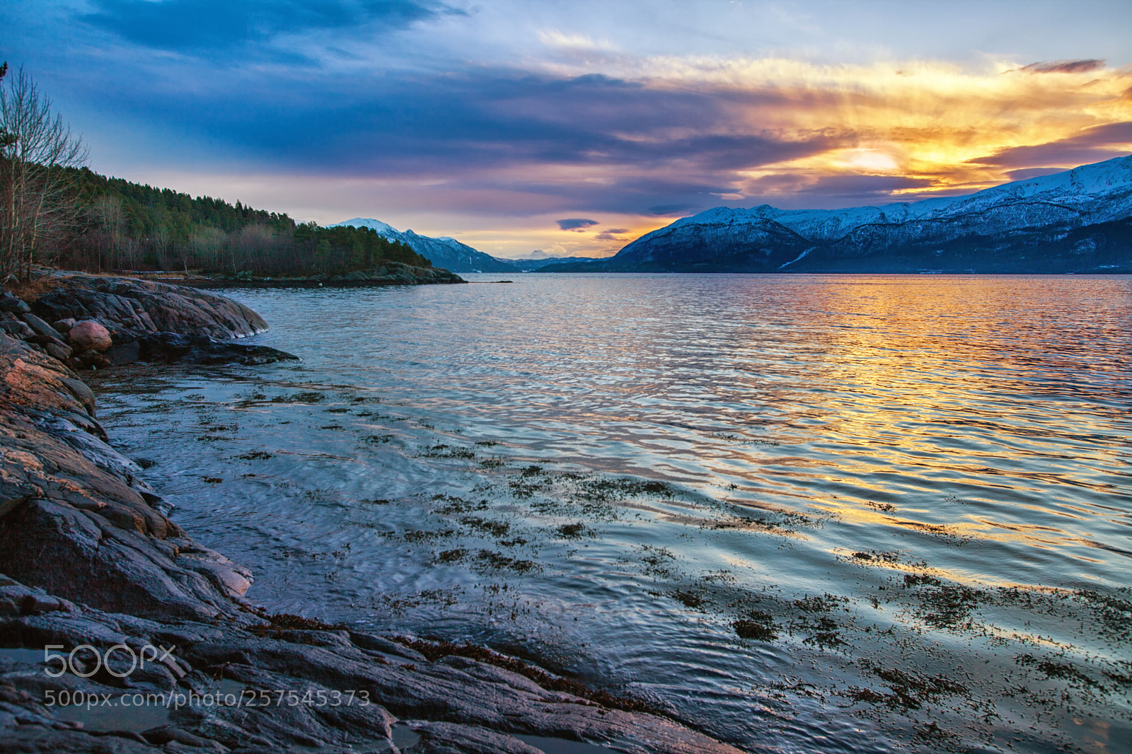 Canon EOS 5D Mark II sample photo. Batnfjord #2 photography