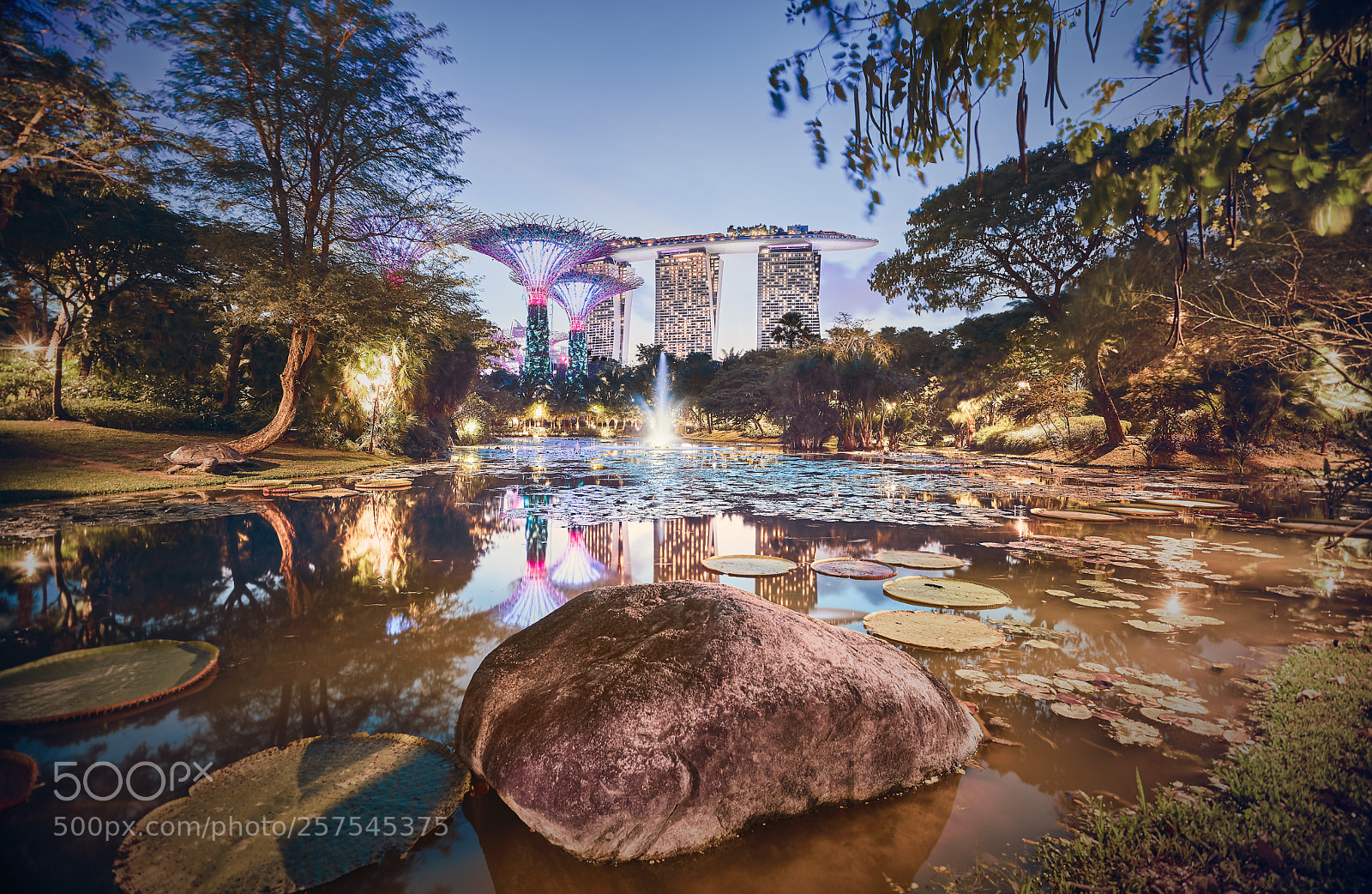 Canon EOS 5D Mark II sample photo. Gardens by the bay photography