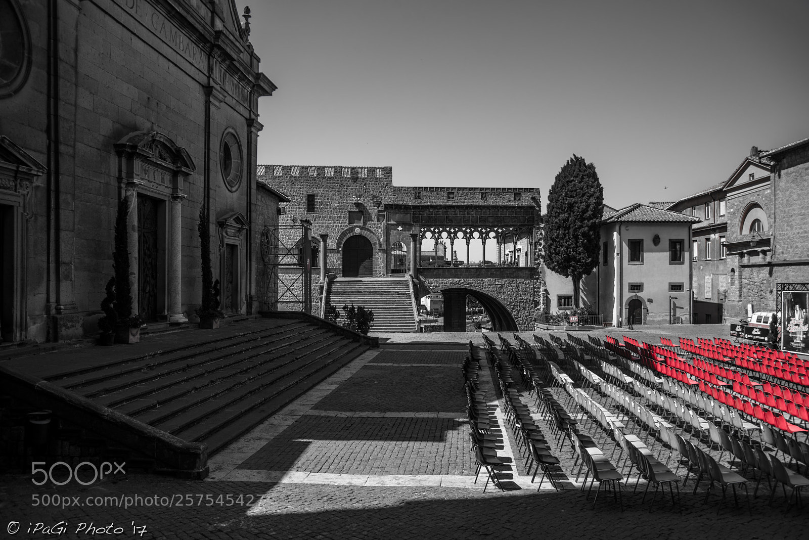Nikon D750 sample photo. Rosso papalino photography