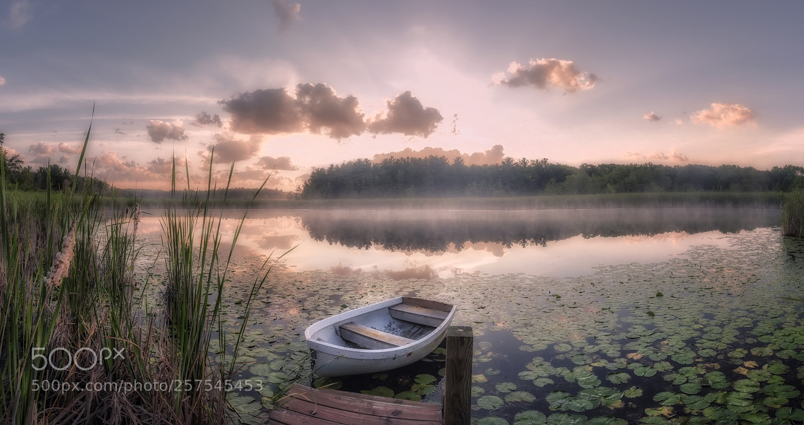 Nikon D750 sample photo. Morning lake mist photography